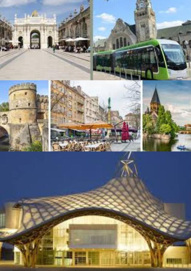 Le Muse Quartier Ville Proche Transport Parking Prive Un-Sejour-A-Part Metz Buitenkant foto