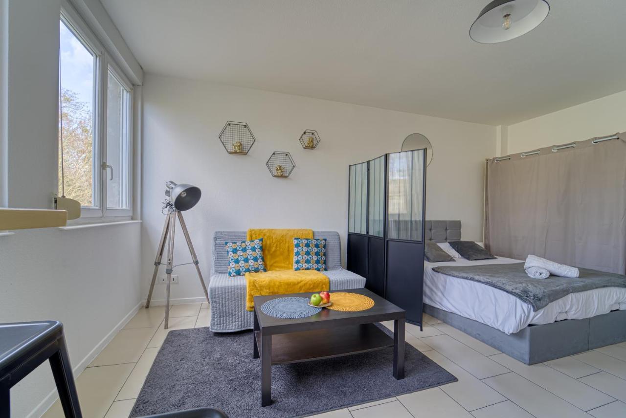 Le Muse Quartier Ville Proche Transport Parking Prive Un-Sejour-A-Part Metz Buitenkant foto